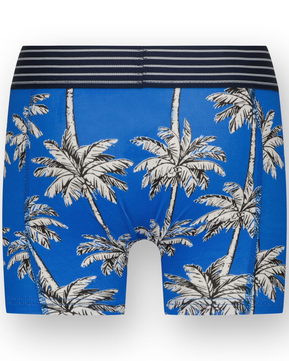 Boxer B251 palm 7-pack