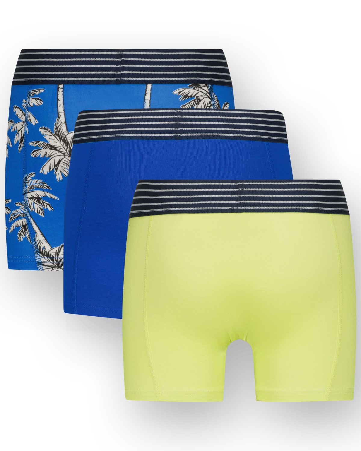 Boxer B251 palm 3-pack
