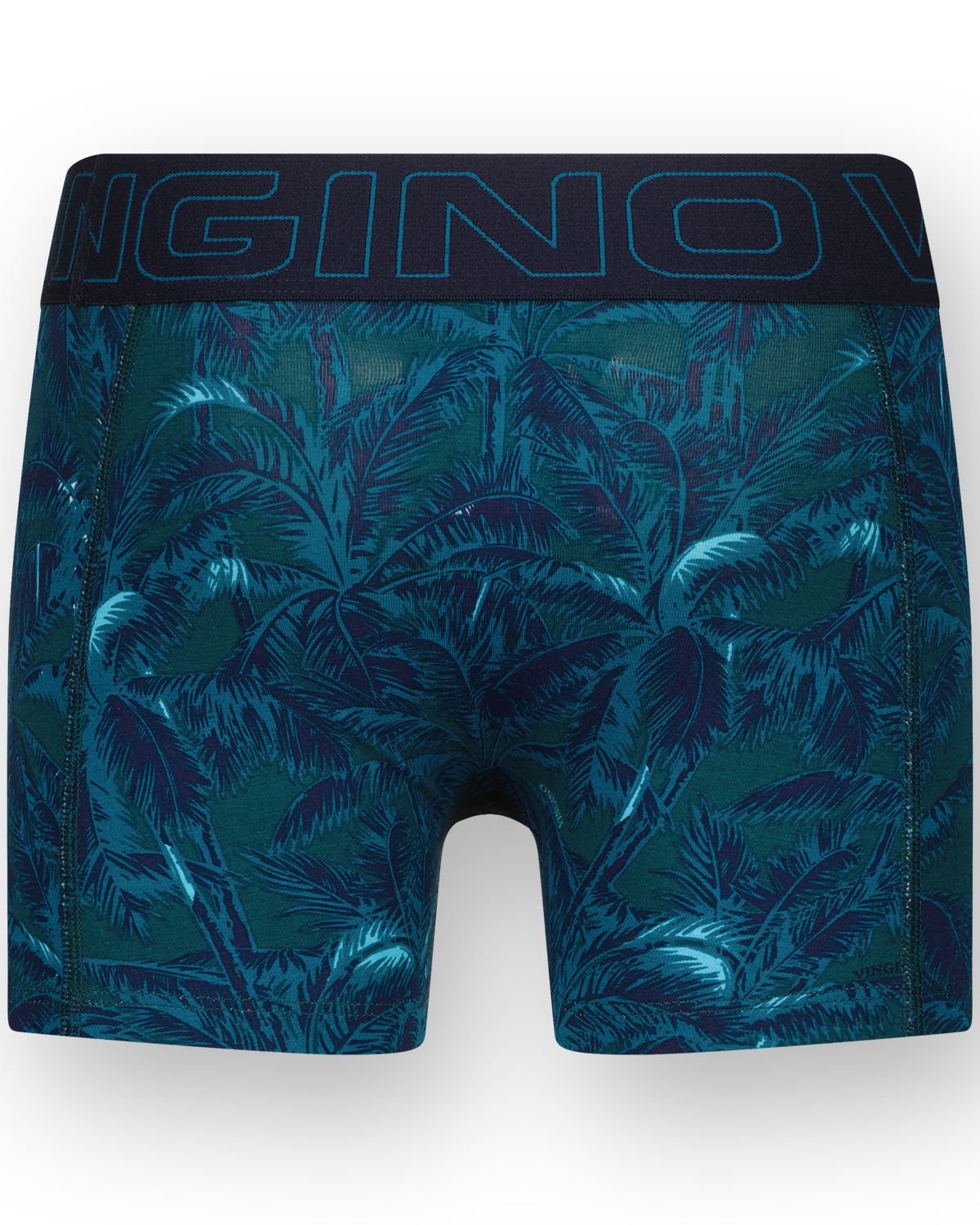 Boxer Palm green 4-pack