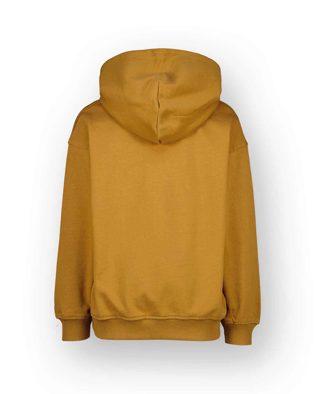 Sweater Icon-hoody