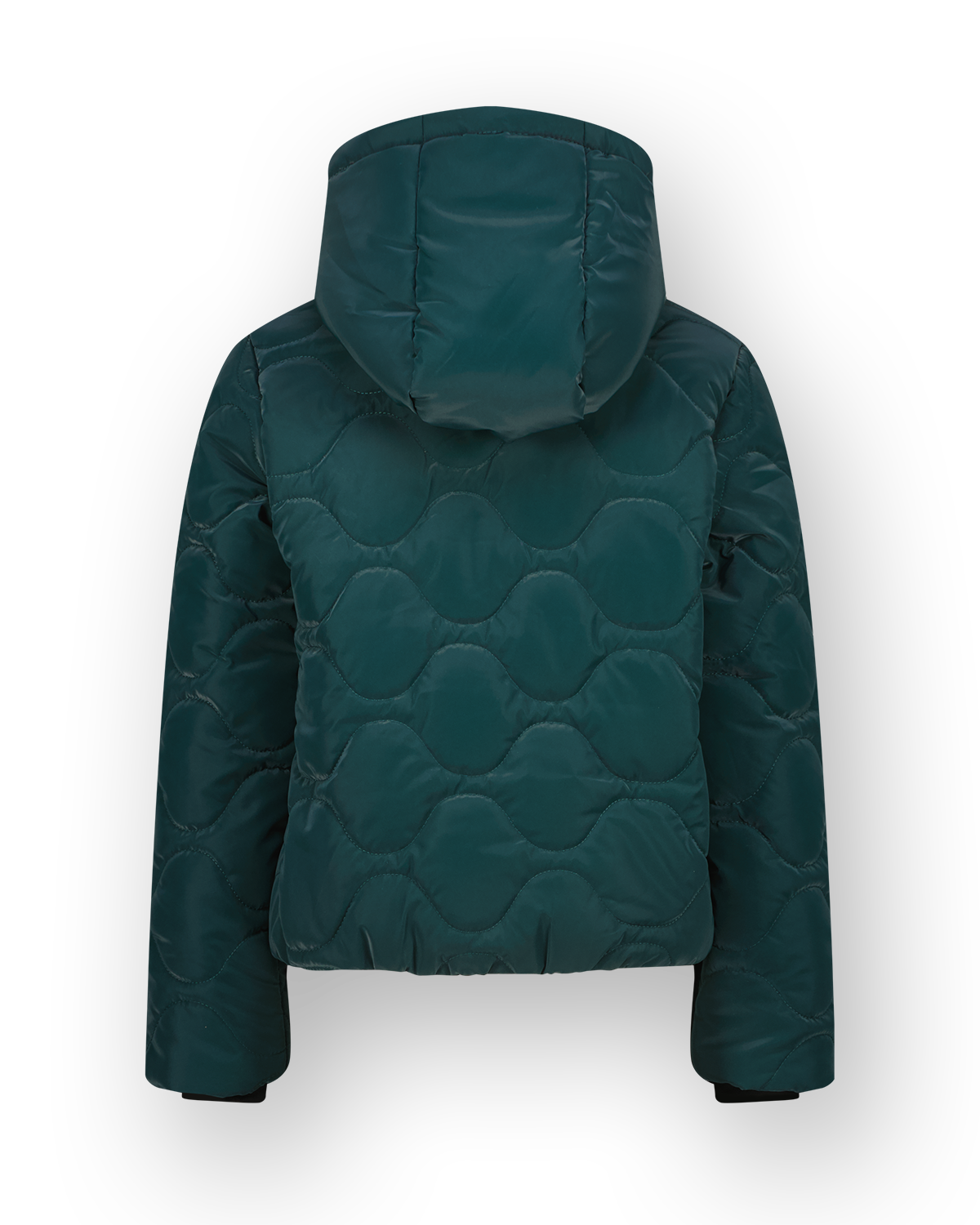 Hooded Jacket Tanije