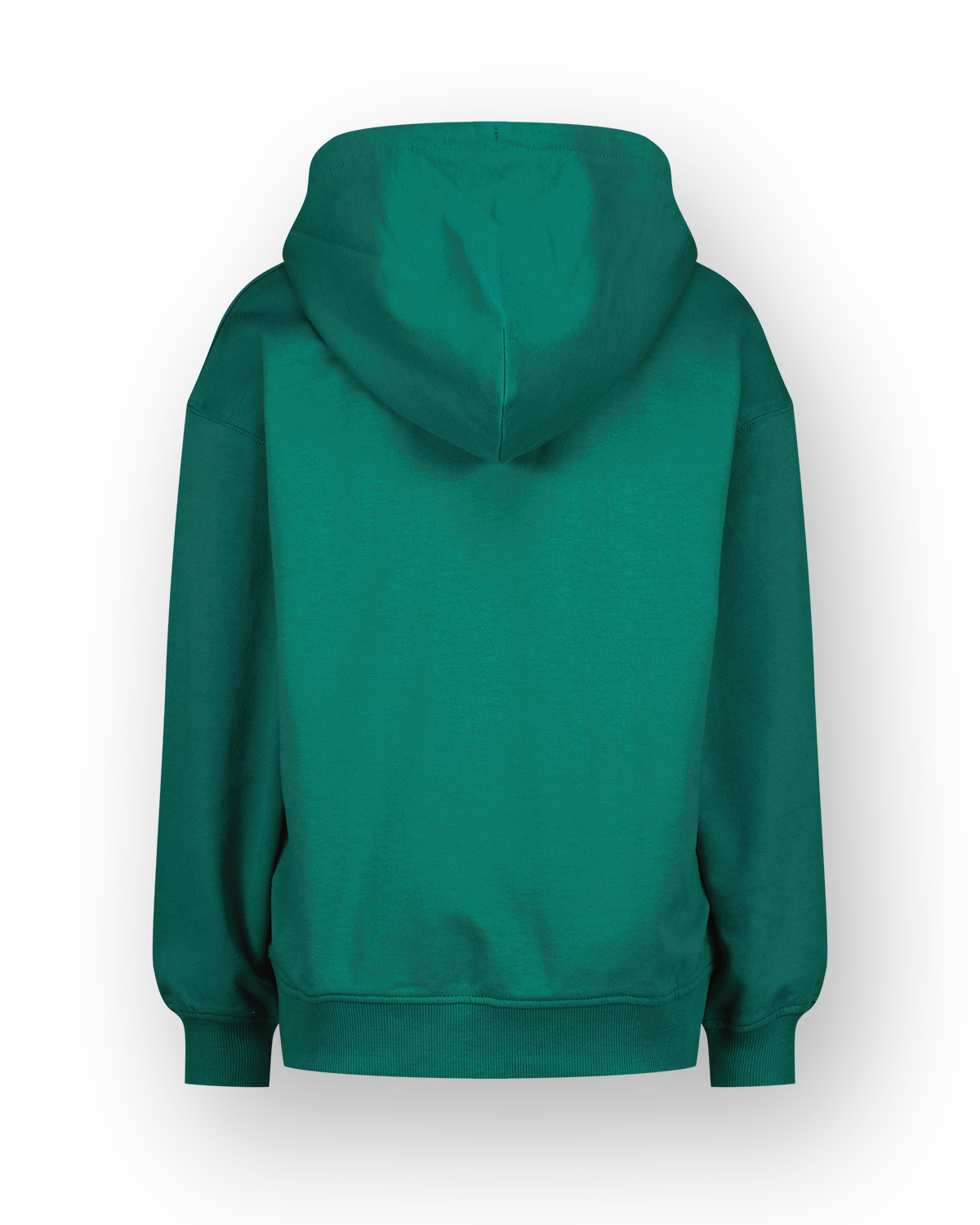 Hoodie Icon-hoody